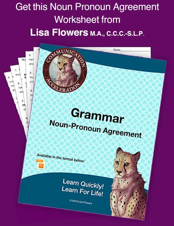 Grammar Worksheet Noun-Pronoun Agreement by Speech Language Pathologist Lisa Flowers